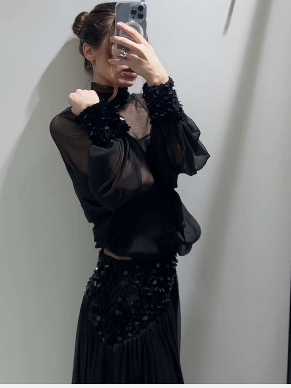 Zara High Neck Sheer top